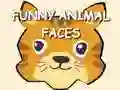 Jogo Caras de Animais Engraçados online
