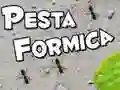 Jogo Festa das Formigas online Jogo Festa das Formigas online