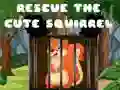 Jogo Resgatar o agradável esquilo online Jogo Resgatar o agradável esquilo online