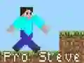 Jogo Pro Steve online