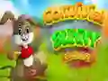 Jogo Escape do Coelho Convivial online