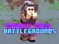 Jogo Campos de Batalha de Pixel Privados online