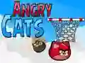 Jogo Gatos Irritados online