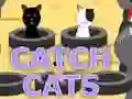 Jogo Pegar Gatos online Jogo Pegar Gatos online