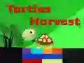 Jogo Colheita de Tartarugas online Jogo Colheita de Tartarugas online