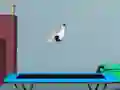 Jogo Flip de Trampolim online Jogo Flip de Trampolim online
