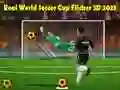 Jogo Copa do Mundo de Futebol Real Flicker 3D 2023 online