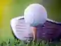 Jogo Desafio de Golfe Desbloqueado online