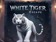 Jogo Fuga do Tigre Branco online