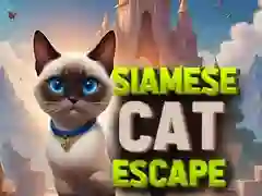 Jogo Fuga do Gato Siamês online Jogo Fuga do Gato Siamês online