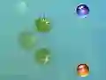 Jogo Minhas aventuras online