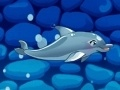 Jogo Meu Show de Golfinhos 5 online
