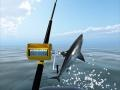 Jogo Pesca no Mar Azul online