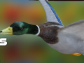 Jogo Caçador de Patos: Floresta de Outono online