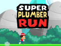Jogo Super Encanador Corrida online