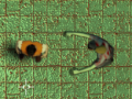 Jogo Labirinto da Infecção online