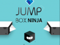 Jogo Ninja da Caixa de Pulo online