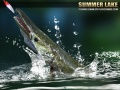 Jogo Lago de Verão 1.5 online