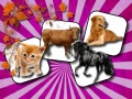 Jogo Desafio de Memória de Animais Domésticos online