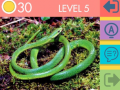 Jogo Quiz de 15 Imagens online