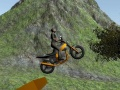 Jogo Motociclista de Terra online