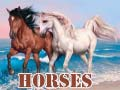 Jogo Cavalos online