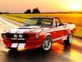 Jogo Diferenças do Mustang Elegante online