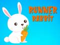 Jogo Coelho Corredor online