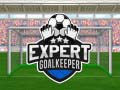 Jogo Goleiro Especialista online