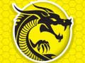 Jogo Fúria do Kung Fu online