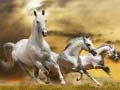 Jogo Deslizamento do Cavalo Correndo online