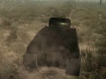 Jogo Batalha de Tanques online