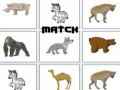 Jogo Partida online