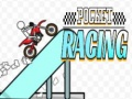 Jogo Corrida de Bolso online