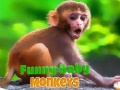 Jogo Bebê macaco engraçado online