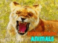 Jogo Animais Engraçados e Sorridentes online