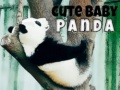 Jogo Fofo Bebê Panda online