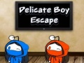 Jogo Fuga do Menino Delicado online