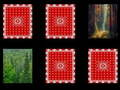 Jogo Memória da Floresta online