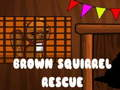 Jogo Resgate do Esquilo Marrom online