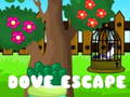 Jogo Fuga da Pomba online