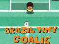 Jogo Brasil Pequeno Goleiro online