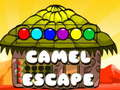 Jogo Fuga de camelo online