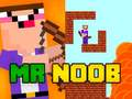 Jogo Sr. Novato online