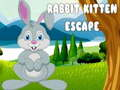 Jogo Fuga do Coelho e do Gatinho online