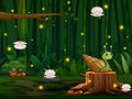 Jogo Corrida de Caracol online