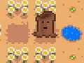 Jogo Regar a Semente online