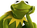 Jogo Livro de Colorir do Kermit, o Sapo online