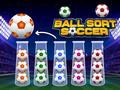 Jogo Classificação de Bola Futebol online