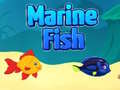 Jogo Peixe Marinho online